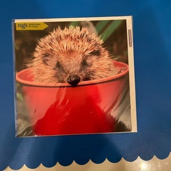 Friendship Greeting Cards / Blank / Encouragement (Bundle of 5 cards) (new) - Picture 9 of 12